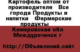 Картофель оптом от производителя - Все города Продукты и напитки » Фермерские продукты   . Кемеровская обл.,Междуреченск г.